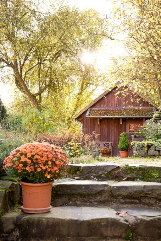 Romantik Hotel Landhaus Bärenmühle Frankenau Exterior foto
