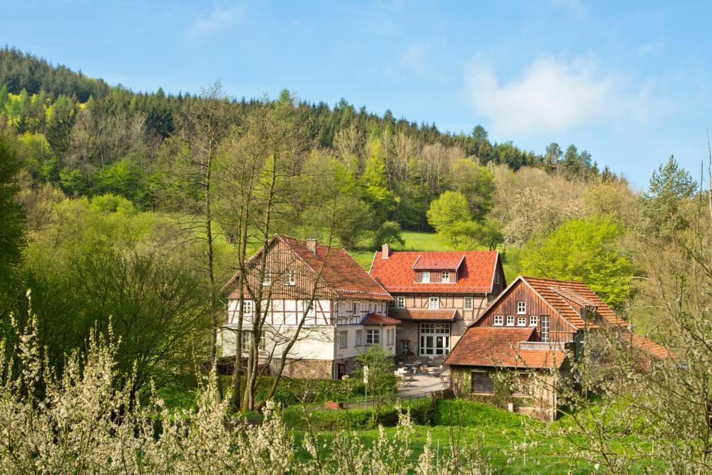 Romantik Hotel Landhaus Bärenmühle Frankenau Exterior foto